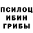 Галлюциногенные грибы мицелий Timer AsemBaiski