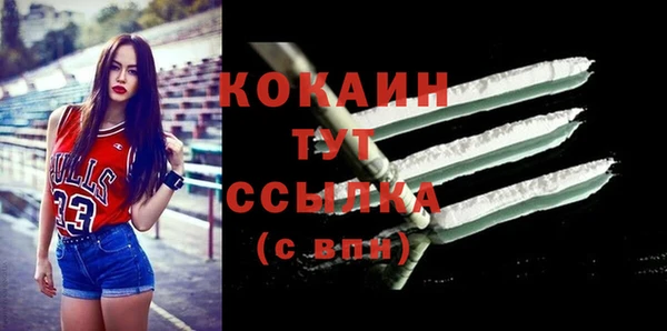 трава Карпинск
