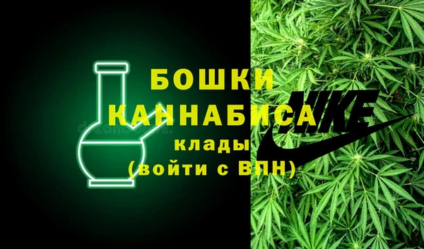 стаф Каменногорск