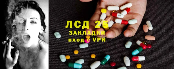 PSILOCYBIN Карталы
