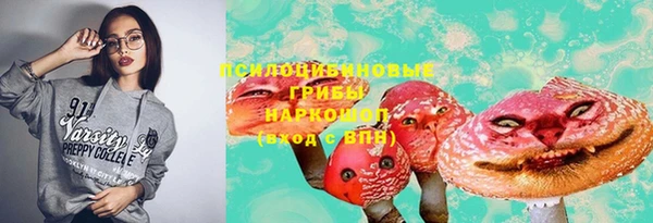 трава Карпинск